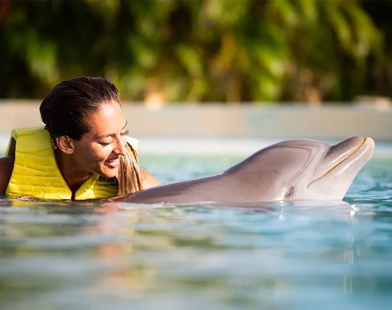 DOLPHINARIS MÉXICO carousel image 4