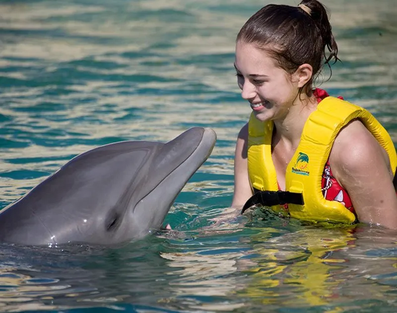 DOLPHINARIS MÉXICO carousel image 2