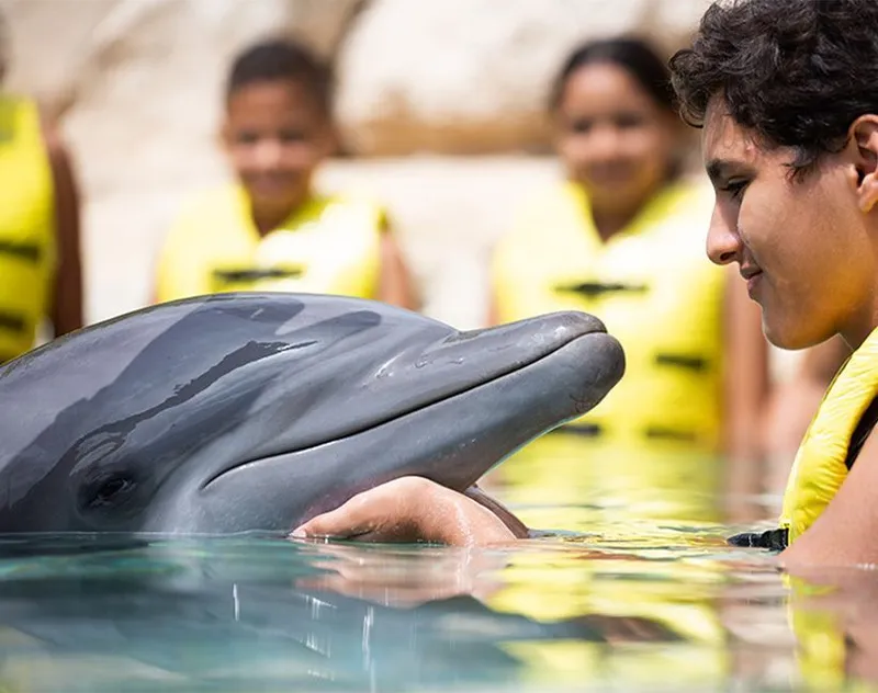 DOLPHINARIS MÉXICO carousel image 3
