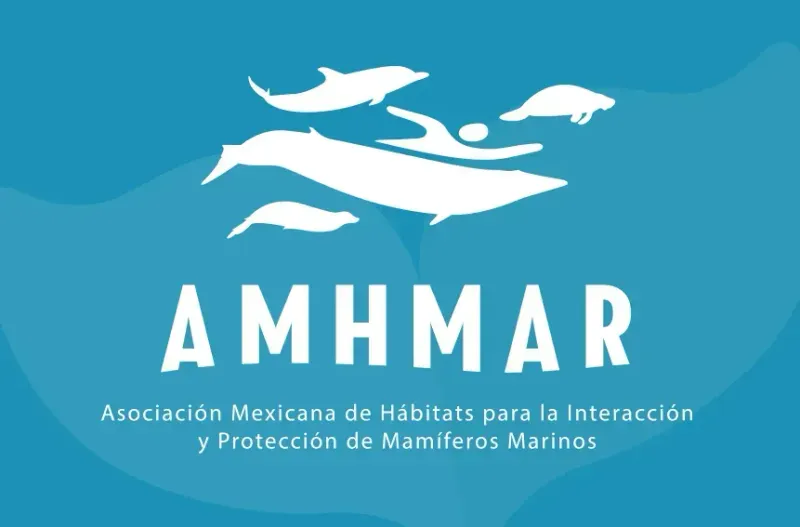 AMHMAR