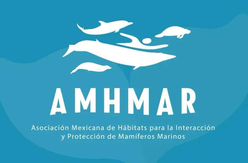 AMHMAR