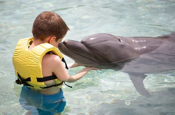 Galería Dolphinaris