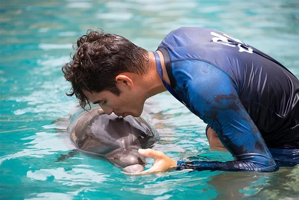 Galería Dolphinaris