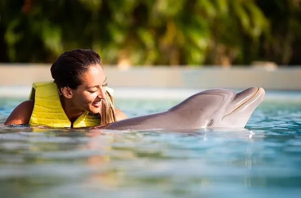 Galería Dolphinaris