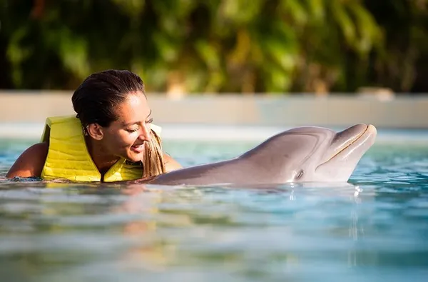 Galería Dolphinaris