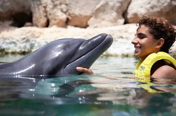 Galería Dolphinaris