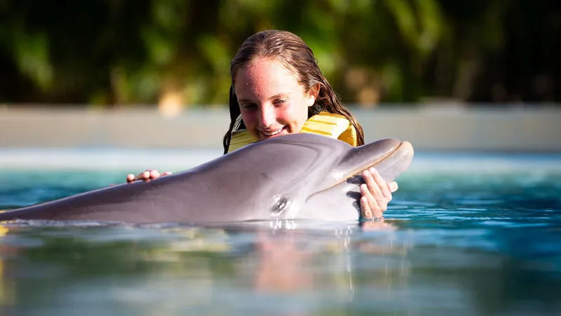 DOLPHIN FRIENDLY ENCOUNTER WITH OPEN BAR AND LUNCH