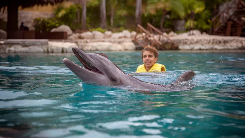 DOLPHIN SWIM EXPERIENCE WITH OPEN BAR AND LUNCH