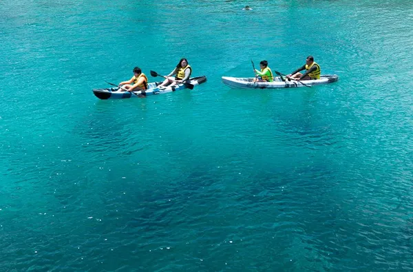 Galería Dolphinaris