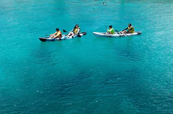 Galería Dolphinaris