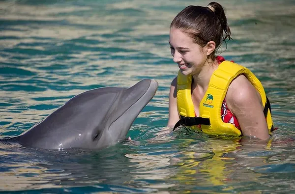 Galería Dolphinaris