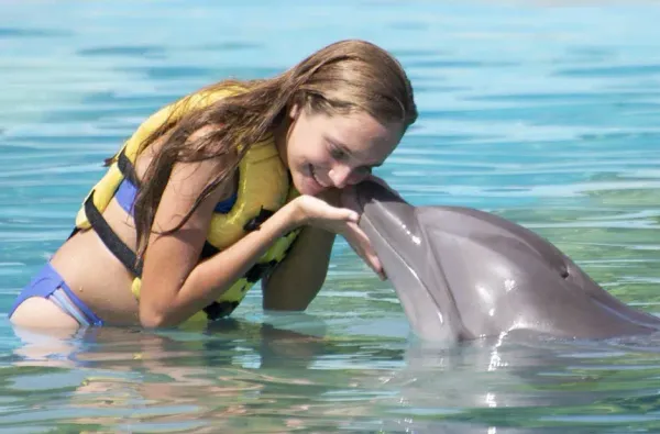 Galería Dolphinaris