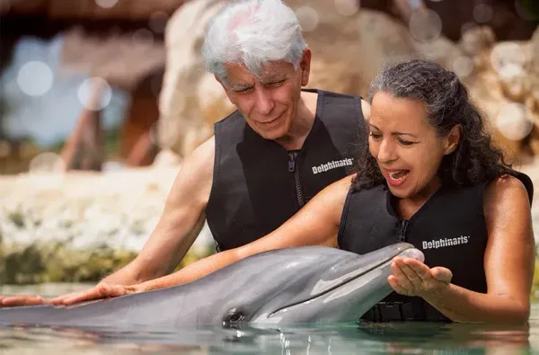 Galería Dolphinaris