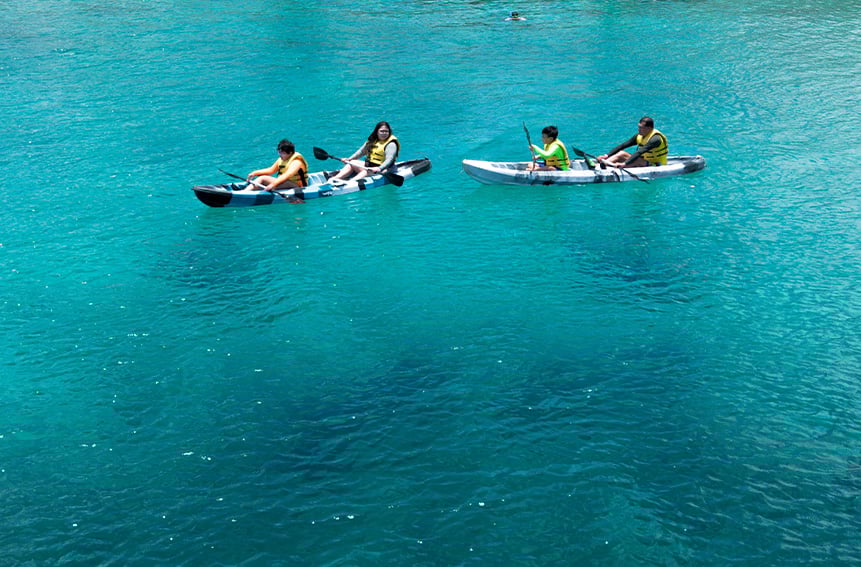KAYAK DOLPHIANRIS