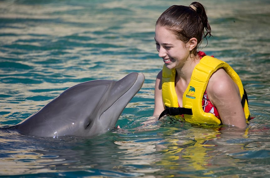 KISS-DOLPHINARIS-COZ