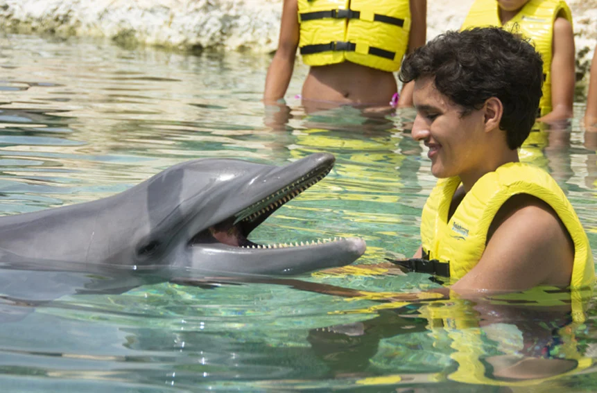 dolphinaris-galery-friendly.webp